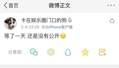 吃瓜爆料的小说有哪些,揭秘那些小说中的幕后故事